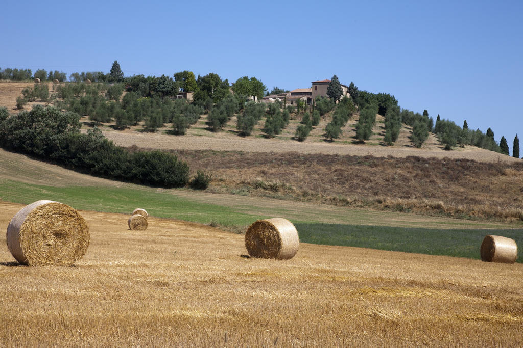 Agriturismo Podere Olivello In Val D'Orcia Montalcino Buitenkant foto