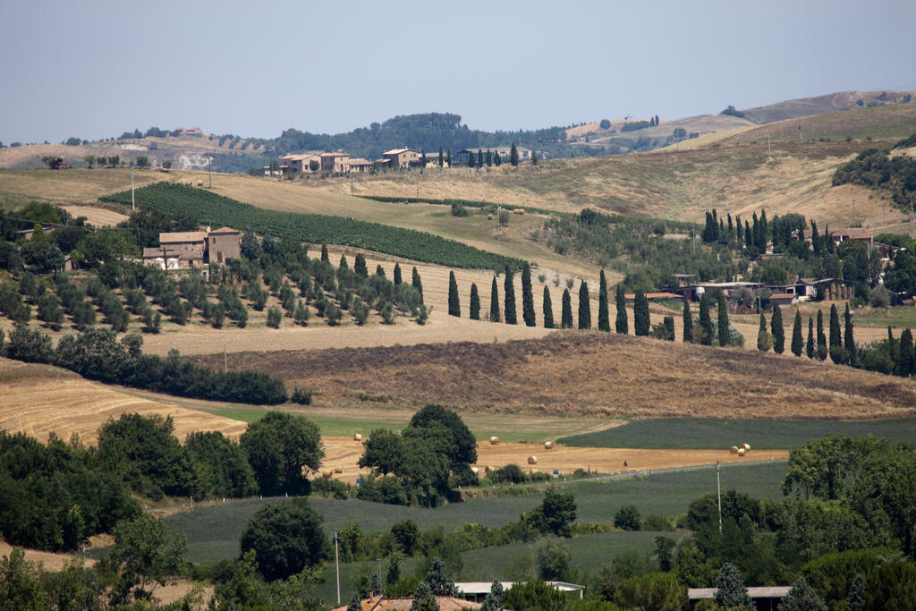 Agriturismo Podere Olivello In Val D'Orcia Montalcino Buitenkant foto